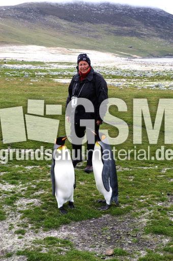 Königspinguin (16 von 84).jpg